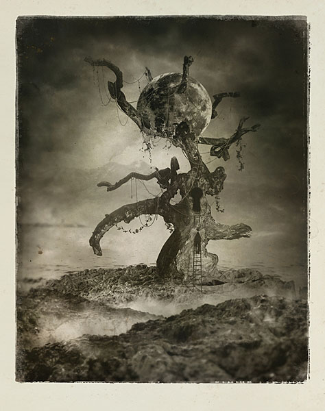 Photograph Oriol Jolonch El Arbol El Loco Y La Luna on One Eyeland