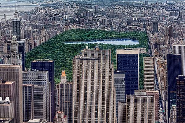 Photograph Andrzej Bochenski Central Park on One Eyeland