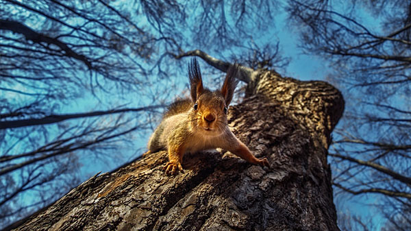Photograph Dmitry Laudin Hello How Are You on One Eyeland