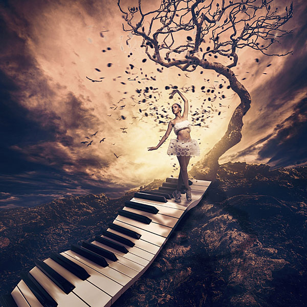 Photograph Jackson Carvalho Rhapsody on One Eyeland