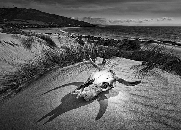 Photograph Ben Welsh Punta Paloma Iconic Beach on One Eyeland