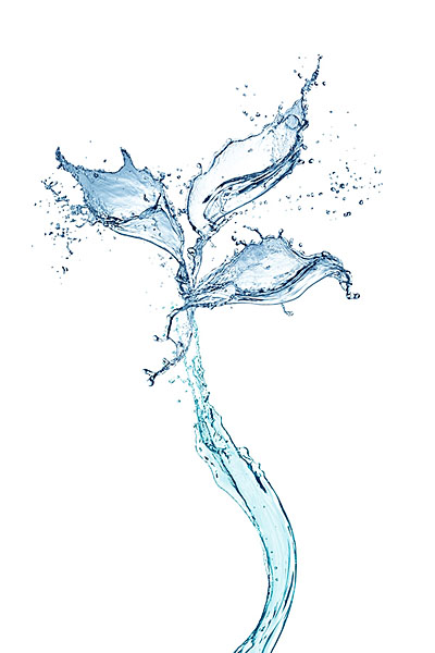 Photograph Ibrahim Barun Water Flower on One Eyeland