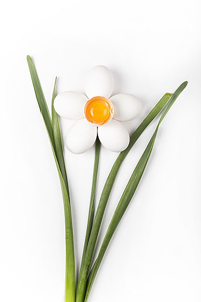 Photograph Ibrahim Barun Narcissus on One Eyeland