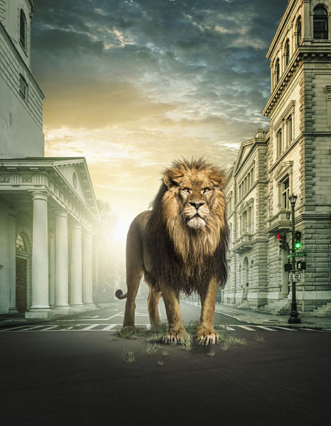 Photograph John Fulton Jumanji Lion on One Eyeland