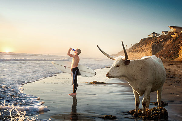 Photograph Weston Fuller Taurine on One Eyeland