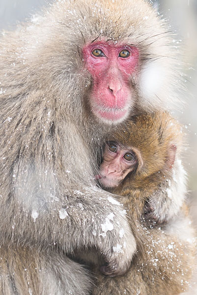 Photograph Takeshi Marumoto Family Time on One Eyeland