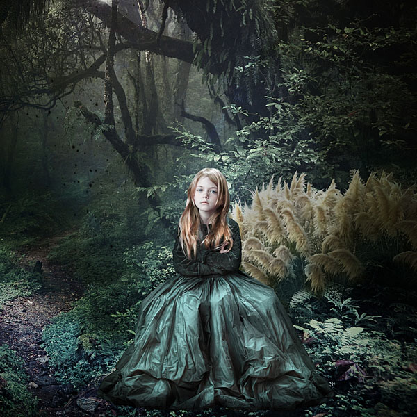 Photograph Patrizia Burra The Forest on One Eyeland
