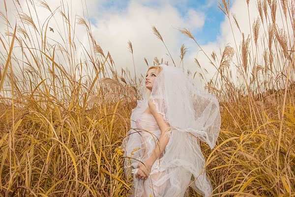 Photograph Haseo Hasegawa Japanese Pampas Grass on One Eyeland