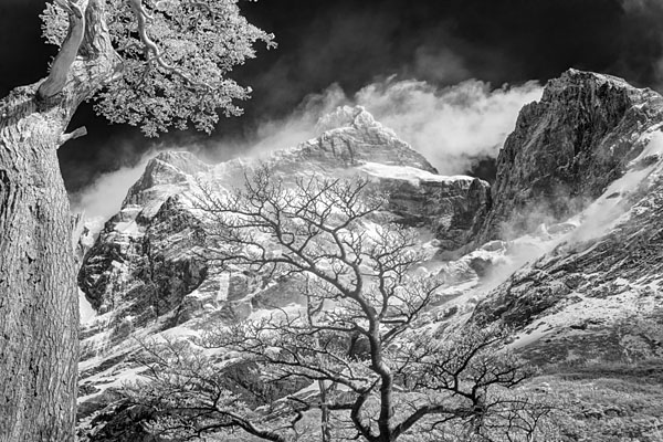 Photograph M Frisino Valle Frances 2 on One Eyeland