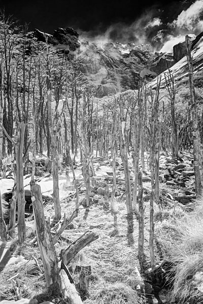 Photograph M Frisino Valle Frances 4 on One Eyeland