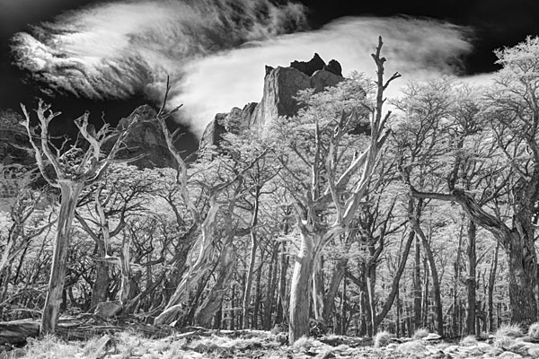 Photograph M Frisino Valle Frances 5 on One Eyeland
