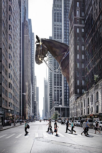 Photograph Andrzej Bochenski Ny on One Eyeland