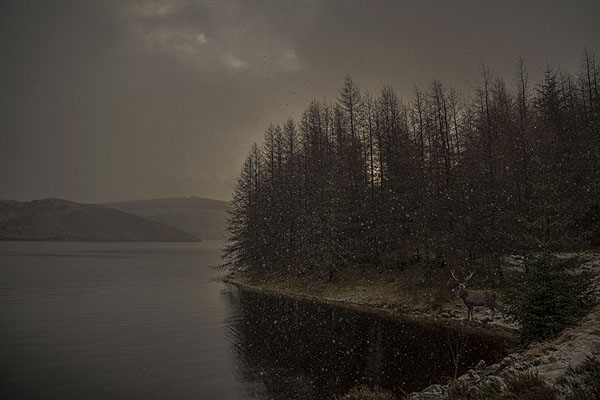 Photograph Sean Condon Loch In The Snow on One Eyeland