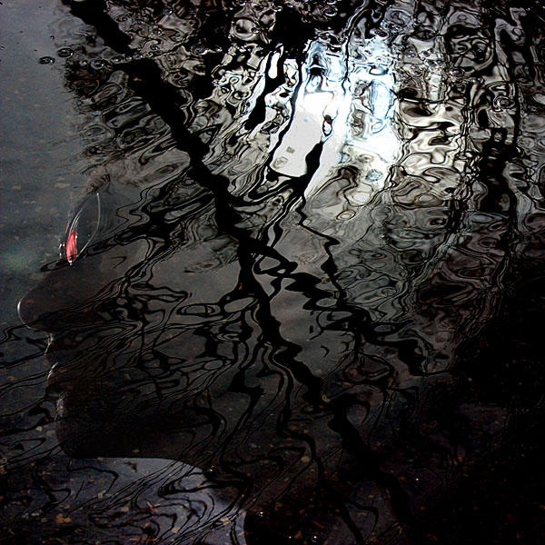 Photograph Milad Safabakhsh The Chaotic Mind on One Eyeland