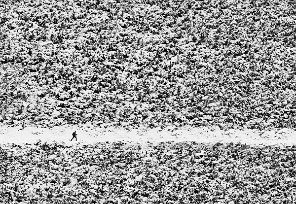 Photograph Peter Svoboda Walking Through Confusion on One Eyeland