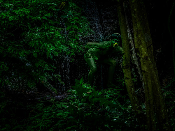 Photograph Haseo Hasegawa Cucumber on One Eyeland
