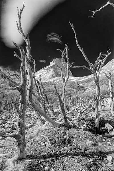 Photograph M Frisino Valle Frances 8 on One Eyeland