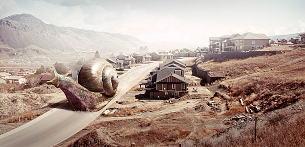 Photograph Peter Holst Giant Snail on One Eyeland
