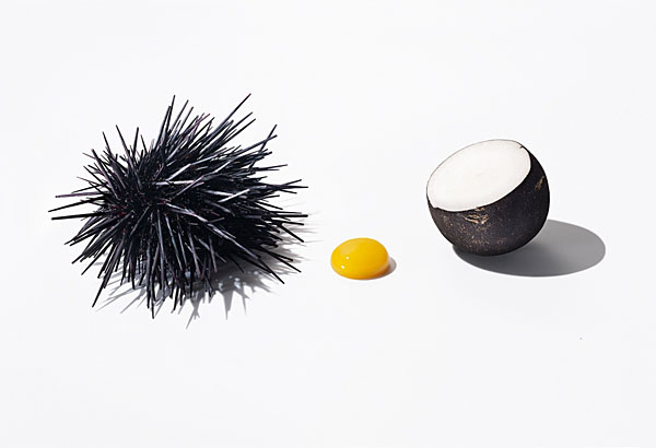 Photograph Lisa Shin Urchin Yolk And Black Radish on One Eyeland