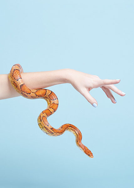Photograph Matt Sartain Elements 1 on One Eyeland