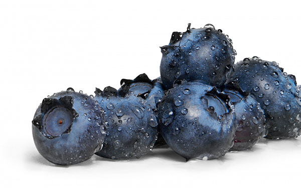 Photograph Mark Wiens Blueberries on One Eyeland