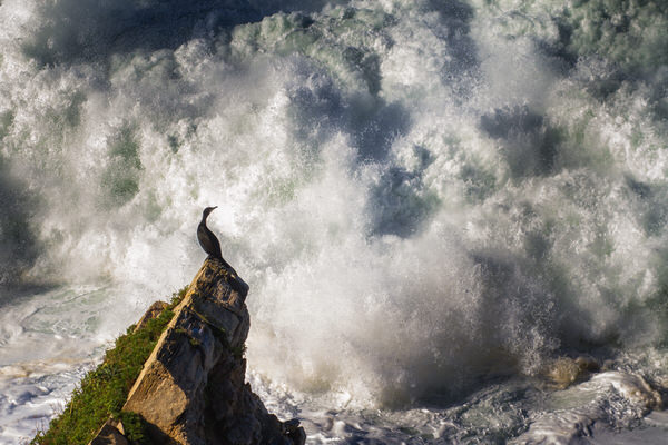 Photograph Ander Alegria Watch It on One Eyeland