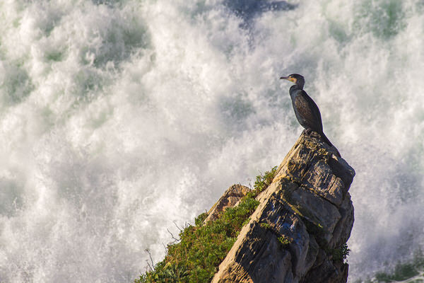 Photograph Ander Alegria Fearless on One Eyeland
