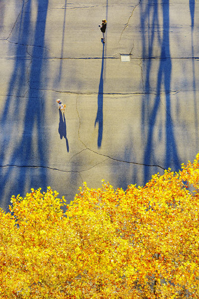 Photograph Mitchell Funk Long Shadows In Autumn on One Eyeland