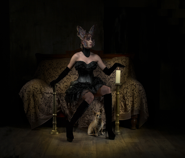 Photograph Peter Kemp Dog on One Eyeland