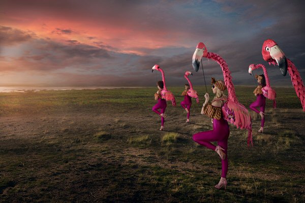 Photograph Markku Lahdesmaki Sandiegozoo_flamingos on One Eyeland