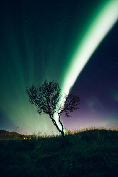 Photograph Oscar Bjarnason Aurora Ii on One Eyeland