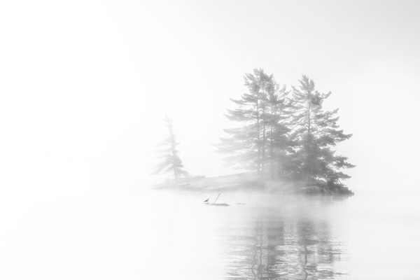 Photograph Marko Radovanovic Disappearance on One Eyeland