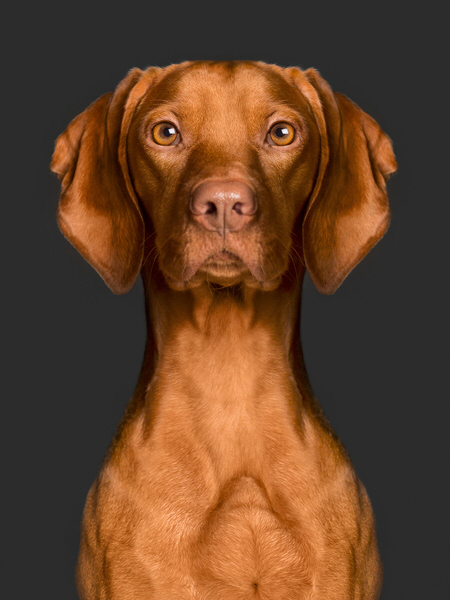 Photograph Elke Vogelsang Biometric on One Eyeland