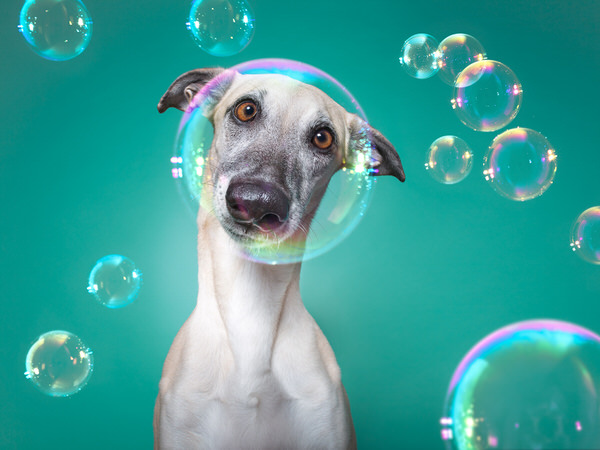 Photograph Elke Vogelsang Soap Star on One Eyeland