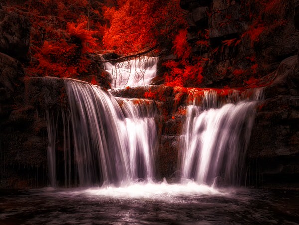 Photograph Jorge Gonzalez Herrera Zen on One Eyeland