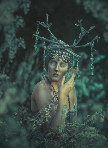 Photograph Suvi Sievila Posh Reindeer on One Eyeland
