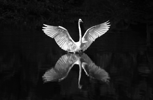 Photograph Suk Eun Kim Crown on One Eyeland