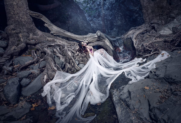 Photograph Elena Paraskeva Butterfly In The Forest on One Eyeland