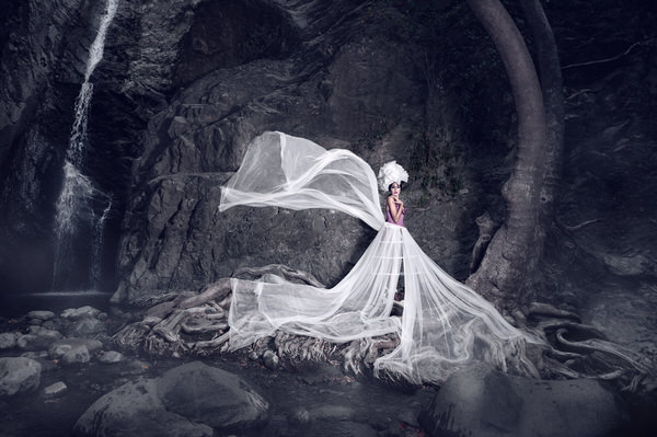 Photograph Elena Paraskeva Butterfly In The Forest on One Eyeland