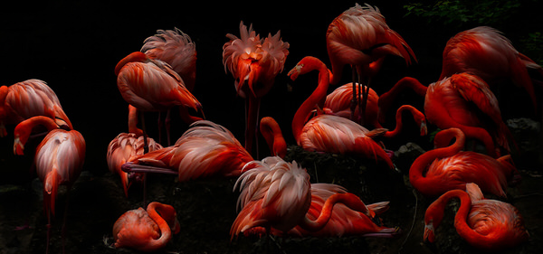Photograph Haseo Hasegawa Beauty on One Eyeland