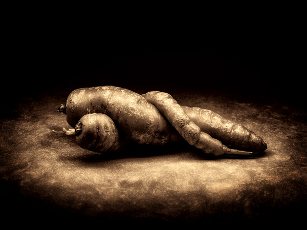 Photograph Scott Lanza Carrot on One Eyeland