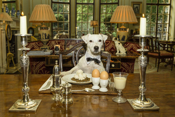 Photograph Alex Oliver The Breakfast on One Eyeland