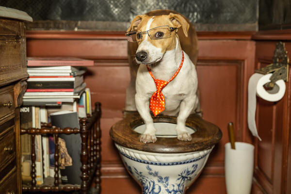 Photograph Alex Oliver Meditation on One Eyeland