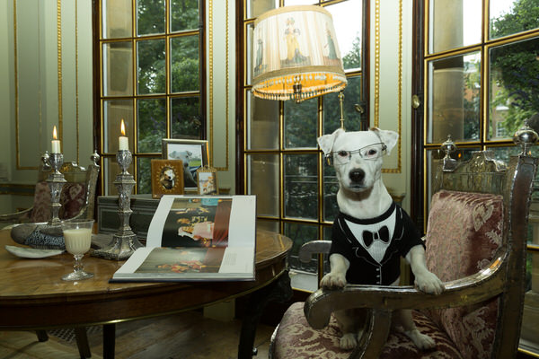 Photograph Alex Oliver The Intellectual on One Eyeland