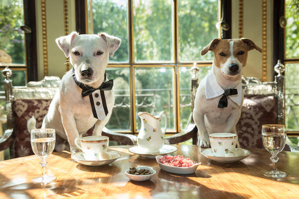 Photograph Alex Oliver Afternoon Tea on One Eyeland