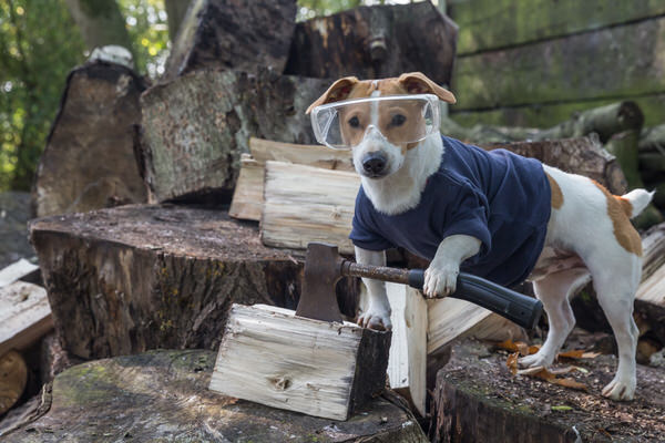Photograph Alex Oliver The Lumberjack on One Eyeland