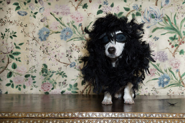 Photograph Alex Oliver The Cupid on One Eyeland