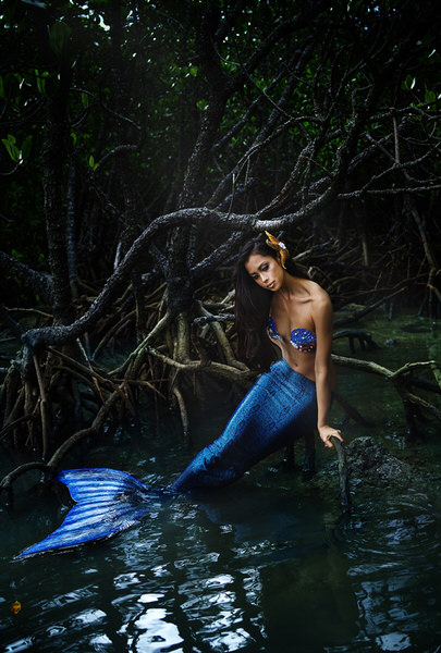 Photograph Haseo Hasegawa Mermaid Of Mangrove on One Eyeland