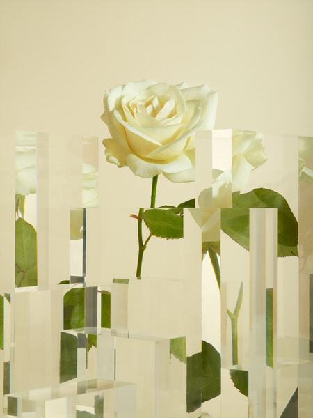 Photograph Edward Fury Glitch Pt I on One Eyeland