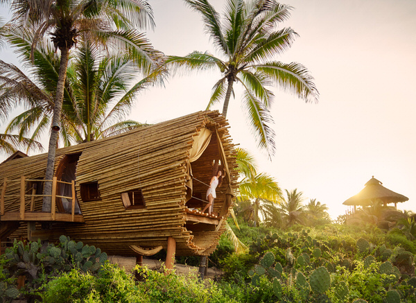 Photograph Kevin Steele Playa Viva Bamboo Treehouse 1 on One Eyeland